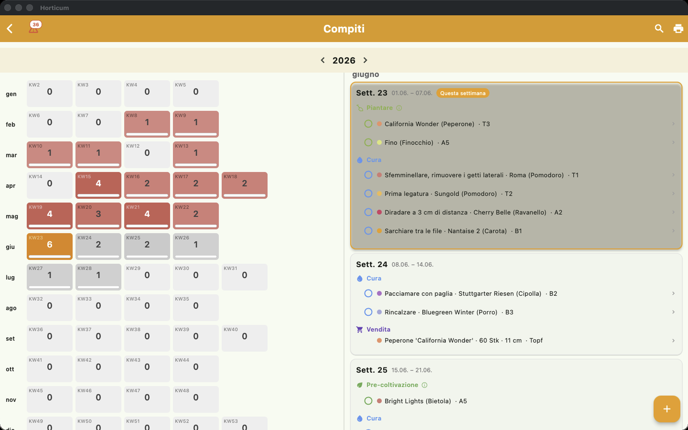 web 07_beetbelegung
