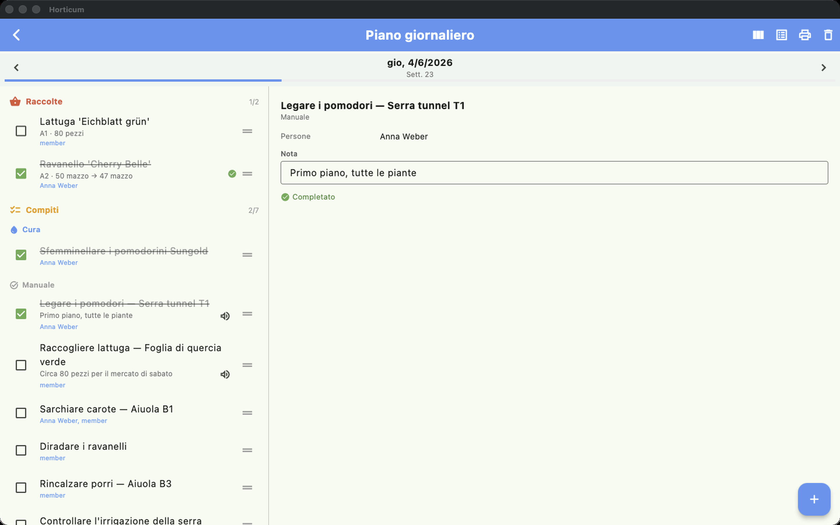 web 03_tagesplan